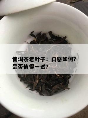 普洱茶老叶子：口感怎样？是不是值得一试？