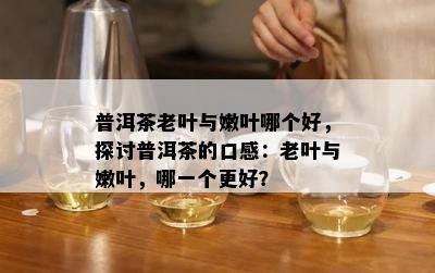 普洱茶老叶与嫩叶哪个好，探讨普洱茶的口感：老叶与嫩叶，哪一个更好？