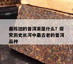 最陈旧的普洱茶是什么？探究历史长河中最古老的普洱品种