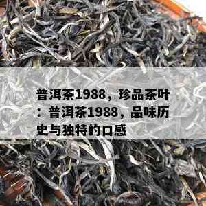 普洱茶1988，珍品茶叶：普洱茶1988，品味历史与独特的口感