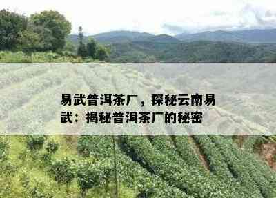 易武普洱茶厂，探秘云南易武：揭秘普洱茶厂的秘密