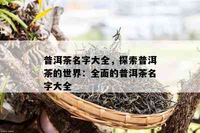 普洱茶名字大全，探索普洱茶的世界：全面的普洱茶名字大全