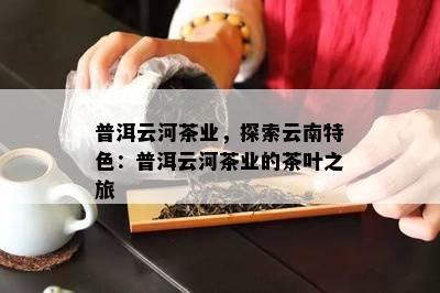 普洱云河茶业，探索云南特色：普洱云河茶业的茶叶之旅