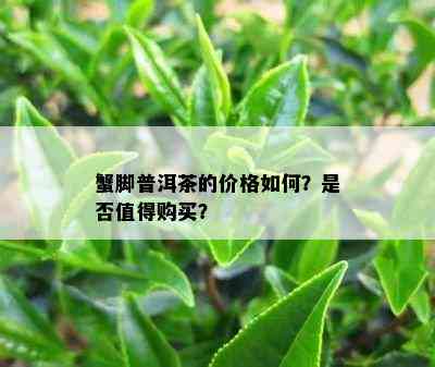 蟹脚普洱茶的价格如何？是否值得购买？