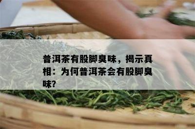 普洱茶有股脚臭味，揭示真相：为何普洱茶会有股脚臭味？