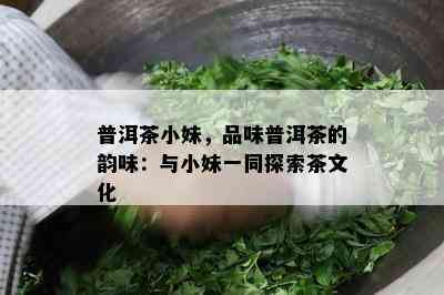 普洱茶小妹，品味普洱茶的韵味：与小妹一同探索茶文化