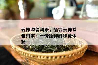 云株溢普洱茶，品尝云株溢普洱茶：一份特别的味觉体验