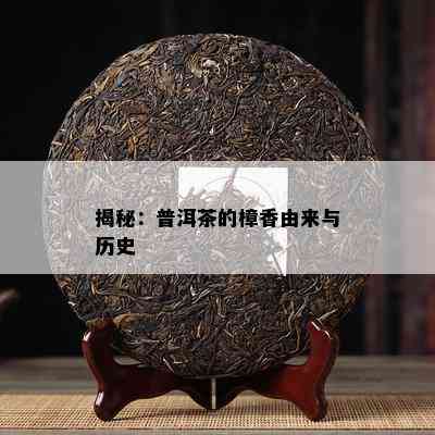 揭秘：普洱茶的樟香由来与历史