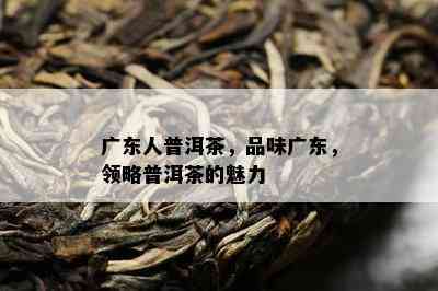 广东人普洱茶，品味广东，领略普洱茶的魅力