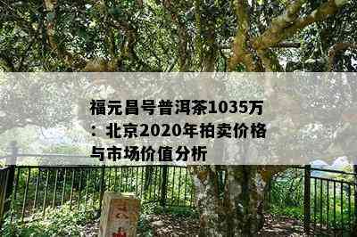 福元昌号普洱茶1035万：北京2020年拍卖价格与市场价值分析