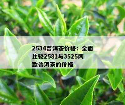 2534普洱茶价格：全面比较2581与3525两款普洱茶的价格