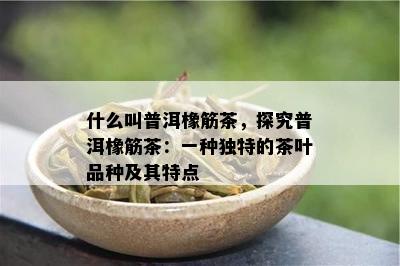 什么叫普洱橡筋茶，探究普洱橡筋茶：一种特别的茶叶品种及其特点