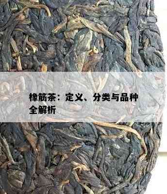 橡筋茶：定义、分类与品种全解析