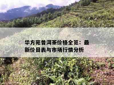 华方苑普洱茶价格全览：最新价目表与市场行情分析