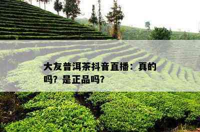 大友普洱茶抖音直播：真的吗？是正品吗？