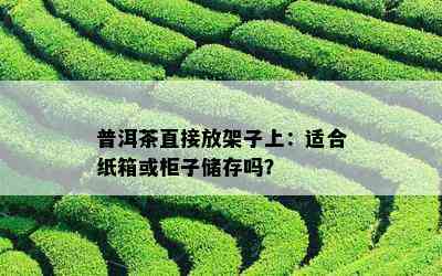 普洱茶直接放架子上：适合纸箱或柜子储存吗？