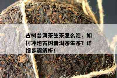 古树普洱茶生茶怎么泡，怎样冲泡古树普洱茶生茶？详细步骤解析！