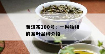 普洱茶100号：一种独特的茶叶品种介绍