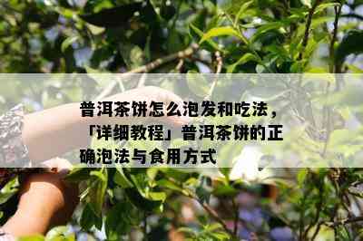 普洱茶饼怎么泡发和吃法，「详细教程」普洱茶饼的正确泡法与食用方式