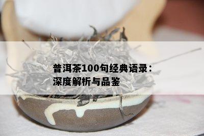 普洱茶100句经典语录：深度解析与品鉴