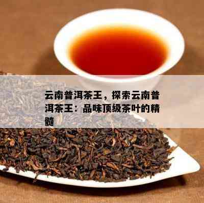 云南普洱茶王，探索云南普洱茶王：品味顶级茶叶的精髓