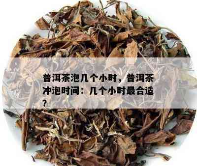 普洱茶泡几个小时，普洱茶冲泡时间：几个小时最合适？