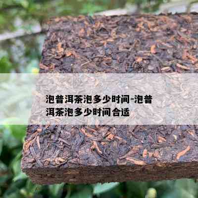 泡普洱茶泡多少时间-泡普洱茶泡多少时间合适