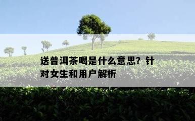 送普洱茶喝是什么意思？针对女生和客户解析