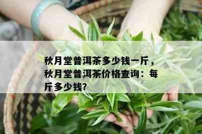 秋月堂普洱茶多少钱一斤，秋月堂普洱茶价格查询：每斤多少钱？