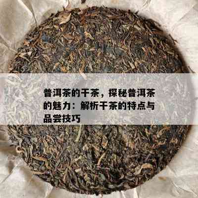 普洱茶的干茶，探秘普洱茶的魅力：解析干茶的特点与品尝技巧