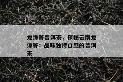 龙潭箐普洱茶，探秘云南龙潭箐：品味特别口感的普洱茶