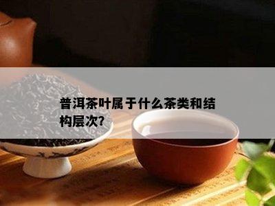 普洱茶叶属于什么茶类和结构层次？