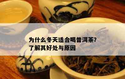 为什么冬天适合喝普洱茶？熟悉其好处与起因