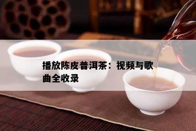 播放陈皮普洱茶：视频与歌曲全收录