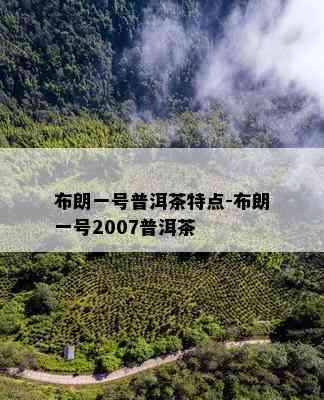 布朗一号普洱茶特点-布朗一号2007普洱茶