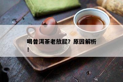 喝普洱茶老放屁？起因解析！