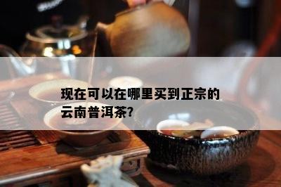 现在可以在哪里买到正宗的云南普洱茶？