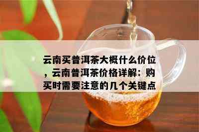 云南买普洱茶大概什么价位，云南普洱茶价格详解：购买时需要留意的几个关键点