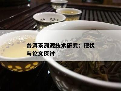 普洱茶溯源技术研究：现状与论文探讨