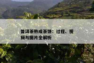 普洱茶熟成茶饼：过程、视频与图片全解析