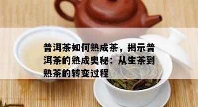 普洱茶怎样熟成茶，揭示普洱茶的熟成奥秘：从生茶到熟茶的转变过程