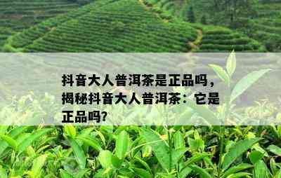 抖音大人普洱茶是正品吗，揭秘抖音大人普洱茶：它是正品吗？