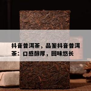 抖音普洱茶，品鉴抖音普洱茶：口感醇厚，回味悠长