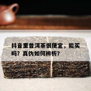 抖音里普洱茶很便宜，能买吗？真伪怎样辨析？