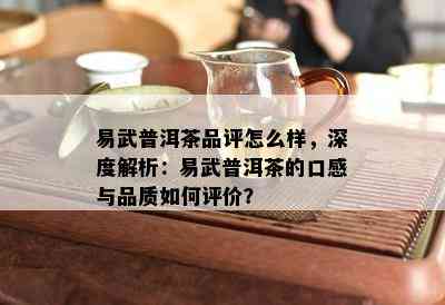 易武普洱茶品评怎么样，深度解析：易武普洱茶的口感与品质怎样评价？