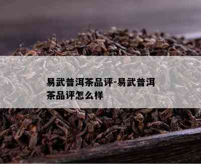 易武普洱茶品评-易武普洱茶品评怎么样