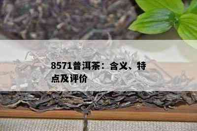 8571普洱茶：含义、特点及评价