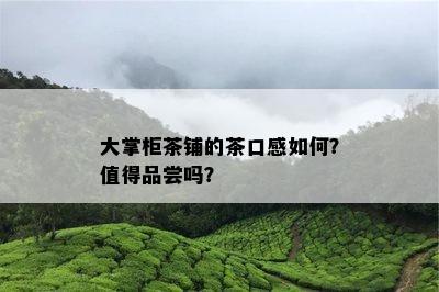 大掌柜茶铺的茶口感怎样？值得品尝吗？