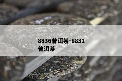 8836普洱茶-8831普洱茶