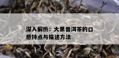 深入解析：大黑普洱茶的口感特点与描述方法